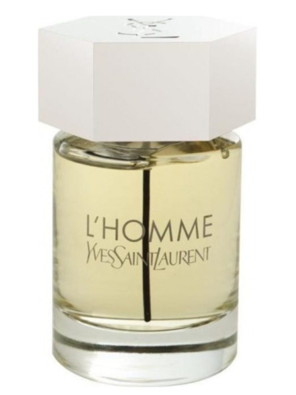 YSL L Homme Jetzt online